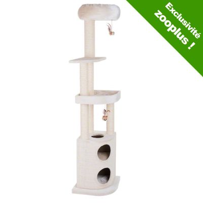 arbre a chat haut mais pas large